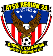 Region 24